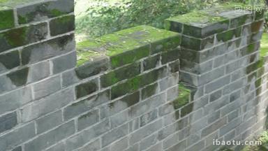 长满青苔的砖墙和石砖路